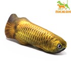 Игрушка "Рыба моей мечты!" с кошачьей мятой, аравана, 20 см - Фото 1