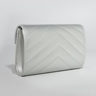 Сумка женская на магните, цвет серебряный - фото 59781369