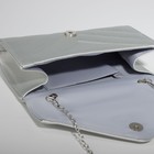 Сумка женская на магните, цвет серебряный - фото 59781372