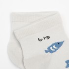 Носки детские MINAKU Рыбки р-р 15-18 см (р-р 26-28) - фото 21699981