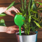 Автополив для комнатных растений, h=28 см, 380 мл, пластик, набор 2 шт., зелёный, Greengo - Фото 10