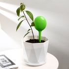 Автополив для комнатных растений, h=28 см, 380 мл, пластик, набор 2 шт., зелёный, Greengo - Фото 14