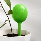 Автополив для комнатных растений, h=28 см, 380 мл, пластик, набор 2 шт., зелёный, Greengo - Фото 15