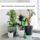 Автополив для комнатных растений, h=28 см, 380 мл, пластик, набор 2 шт., зелёный, Greengo - Фото 2