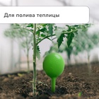 Автополив для комнатных растений, h=28 см, 380 мл, пластик, набор 2 шт., зелёный, Greengo - Фото 3