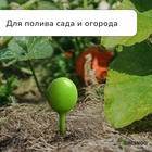 Автополив для комнатных растений, h=28 см, 380 мл, пластик, набор 2 шт., зелёный, Greengo - Фото 4