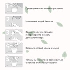 Автополив для комнатных растений, 380 мл, зелёный, 2 шт., пластиковый, высота 28 см, Greengo 9035813 - фото 2386915