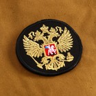 Шеврон на одежду «Герб», с липучкой, 7 см, разноцветный - Фото 2