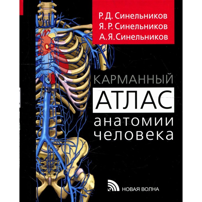 Карманный атлас анатомии человека. Синельников Р.Д. и др.