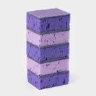 Набор губок для мытья посуды Raccoon «Версаль», 5 шт., 9×6.5×3.5 см, крупнопористый поролон, фиолетовый - Фото 4