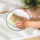 Набор губок для мытья посуды Raccoon «ЭКО-стиль», 2 шт, 10,8×7×4 см, крупнопористый поролон + экосизаль, цвет зелёный - Фото 2