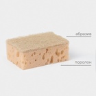 Набор губок для мытья посуды Raccoon «Ренессанс», 2 шт., 9×6.5×3.5 см, крупнопористый поролон, бежевый - Фото 2