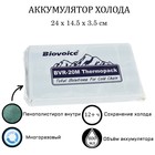 Аккумулятор холода Biovoice BVR-20M, 800 мл, 24 х 14.5 х 3.5 см 9176422 - фото 9883995