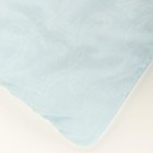 Одеяло «Лебяжий пух», размер 100х140 см - Фото 4