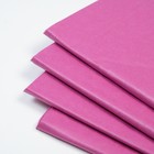 Бумага упаковочная тишью, лиловый, 50 см х 66 см, набор 20 шт. - фото 30536403