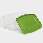 Набор контейнеров пищевых Доляна, 3 шт: 1 л, 18,5×12×7 см, прямоугольные, цвет зелёный - фото 4528653