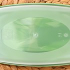 Набор контейнеров пищевых Доляна, 3 шт: 1 л, 18,5×12×7 см, прямоугольные, цвет зелёный - фото 4528656