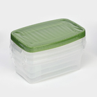 Набор контейнеров пищевых Доляна, 3 шт: 1 л, 18,5×12×7 см, прямоугольные, цвет зелёный - фото 4528657