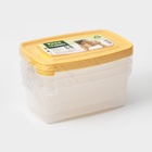 Набор контейнеров пищевых Доляна, 3 шт.: 1 л, 18.5×12×7 см, прямоугольные, прозрачные, МИКС - Фото 8