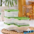Набор контейнеров пищевых RICCO, 5 шт, 460 мл, 11×11×11 см, квадратные, цвет зелёный - Фото 1