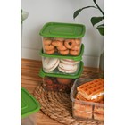 Набор контейнеров пищевых Доляна, 5 шт, 460 мл, 11×11×11 см, квадратные, цвет зелёный - фото 4358004