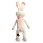 Мягкая игрушка «Зайка в шарфике» цвет белый, 33 см - Фото 3