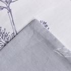 Постельное бельё LoveLife Евро «Очарование осени» 200х217 см, 225х240 см, 50х70см-2шт,100%хлопок,сатин125г/м² 9082496 - фото 12600992