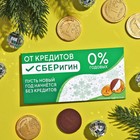 Набор шоколадных монет «От кредитов сберегин», 5 шт. x 6 г. - фото 112522677