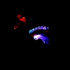 Динозавр «Дракон», работает от батареек, световые и звуковые эффекты, цвет красный - фото 3989640