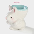 Подставка для яйца Доляна «Зайка», 8×5.5×7.5 см, голубая - Фото 2