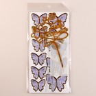 Топперы для торта «С днём рождения», бабочки, сиреневое - Фото 2