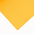 Фоамиран "Морковно-оранжевый" 1 мм набор 10 листов 50х50 см - Фото 2