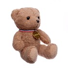 Мягкая игрушка «Мишка с медалью», цвета МИКС - фото 6663474