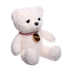Мягкая игрушка «Мишка с медалью», цвета МИКС - фото 6663476