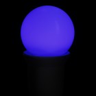 Лампа светодиодная Luazon Lighting, G45, Е27, 1.5 Вт, для белт-лайта, синяя, наб 20 шт - Фото 4