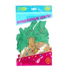 Воздушные шары латексные 12" «С Днём Знаний», 25 шт. - фото 24352054