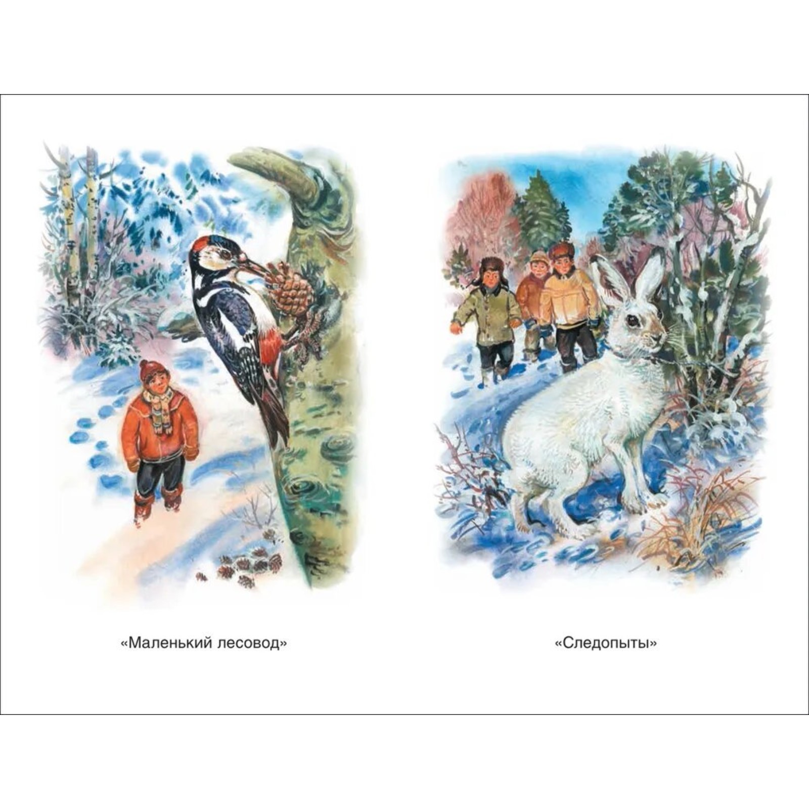 Сказки следопыта читать. Книги о природе внеклассное чтение. Скребицкий сказки следопыта. Сказки следопыта книга. Г скребицкий сказки следопыта читать.