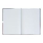 Книга учета, 96 листов, обложка картон 7БЦ, блок ГАЗЕТНЫЙ, клетка, РФ, сине-красный - Фото 3