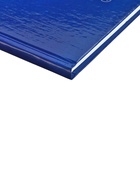 Книга учета, 96 листов, обложка картон 7БЦ, блок газетный, клетка, РФ, сине-красный - Фото 3