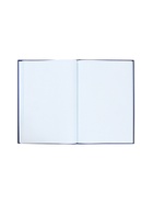 Книга учета, 96 листов, обложка картон 7БЦ, блок газетный, клетка, РФ, сине-красный - Фото 4