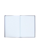 Книга учета, 96 листов, обложка картон 7БЦ, блок газетный, клетка, РФ, сине-красный - Фото 5