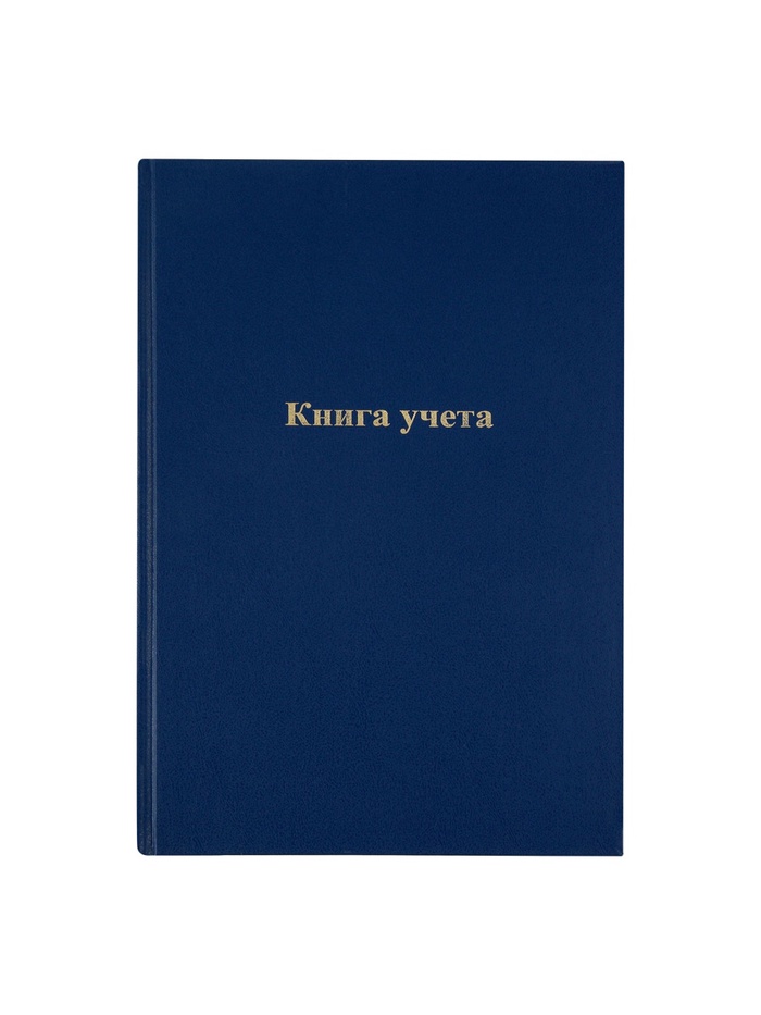Книга учета, 96 листов, обложка бумвинил, блок газетный, клетка, синяя - Фото 1