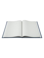 Книга учета, 96 листов, обложка бумвинил, блок газетный, клетка, синяя - Фото 2