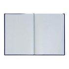 Книга учета, 96 листов, обложка бумвинил, блок ГАЗЕТНЫЙ, клетка, цвет синий - фото 6663959