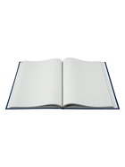 Книга учета, 96 листов, обложка бумвинил, блок газетный, клетка, синяя - Фото 3