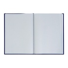 Книга учета, 96 листов, обложка бумвинил, блок газетный, клетка, синяя - Фото 4