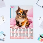 Календарь листовой "Кошки 2023 - 3" 2023 год, бумага, А3 - фото 9891818