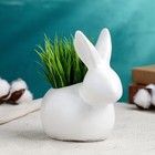 Фигурное кашпо "Кролик" белый перламутр, 15х15 см - фото 10625819