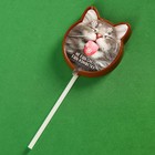Молочные шоколадные ушки на палочке «Ешь конфетку», 30 г. - Фото 2