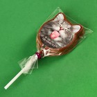 Молочные шоколадные ушки на палочке «Ешь конфетку», 30 г. - Фото 5